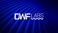 tp钱包官网下载苹果版|专访DWF Labs：我们